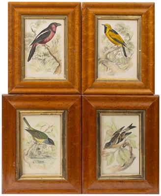 Lot 94 - A SET OF FOUR 19TH CENTURY HAND COLOURED PRINTS OF BIRDS