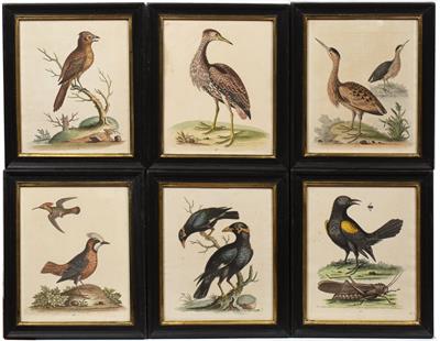 Lot 95 - AFTER GEORGE EDWARDS a set of six hand coloured prints of exotic birds