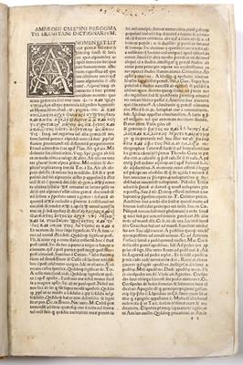 Lot 412 - CALEPINO