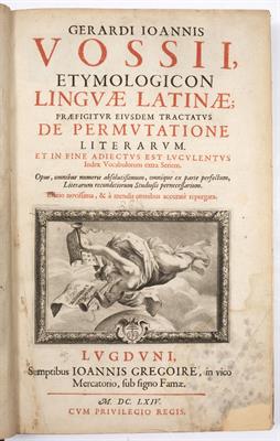 Lot 491 - SCAPULAE