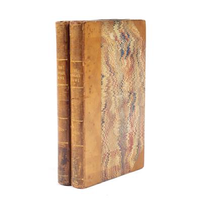 Lot 600 - SMITH