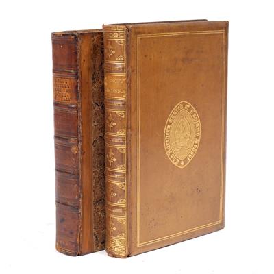 Lot 604 - ROSE