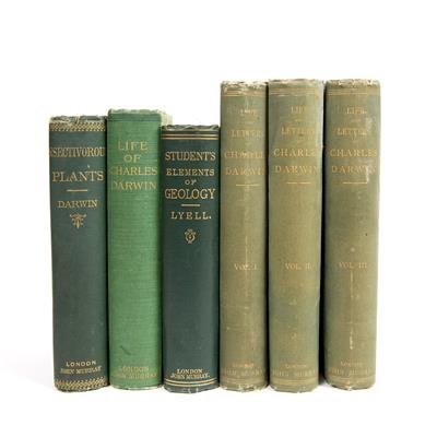 Lot 644 - DARWIN