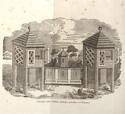 Lot 668 - APICULTURAL INTEREST