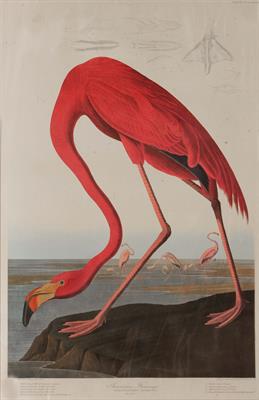 Lot 55 - ROBERT HAVELL AFTER J.J. AUDUBON