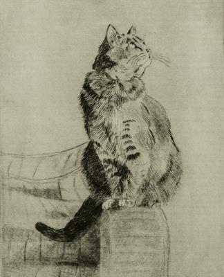 Lot 149 - Pat Schaverien (British
