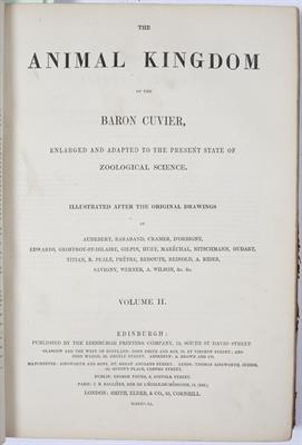 Lot 304 - CUVIER