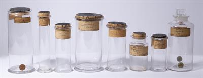 Lot 49 - A GROUP OF EIGHT 19TH CENTURY KEW GARDENS SPECIMEN JARS AND A BOTTLE