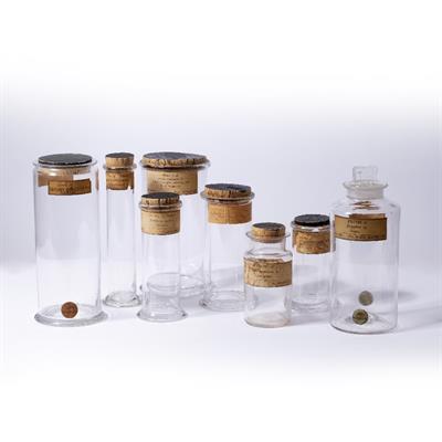 Lot 49 - A GROUP OF EIGHT 19TH CENTURY KEW GARDENS SPECIMEN JARS AND A BOTTLE