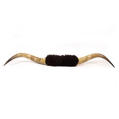 Lot 59 - A PAIR OF OLD BUFFALO HORNS