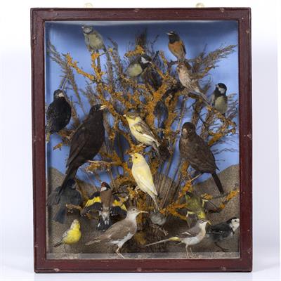 Lot 306 - AN ANTIQUE TAXIDERMIC GROUP OF BIRDS