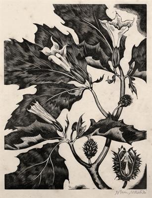 Lot 402 - John Northcote Nash (1893-1977)