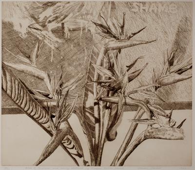 Lot 547 - Norman Stevens (1937-1988)
