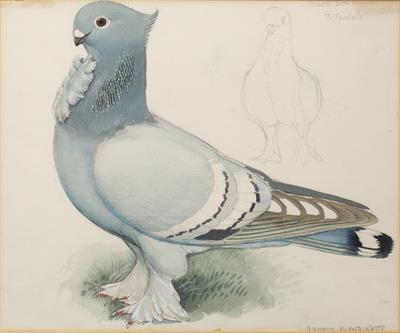 Lot 651 - Charles Frederick Tunnicliffe (1901-1979)