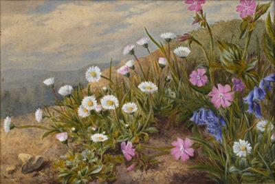 Lot 125B - Marian Emma Chase (1844-1905)