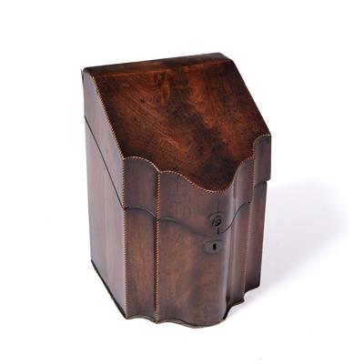 Lot 309 - George III cutlery or knife box