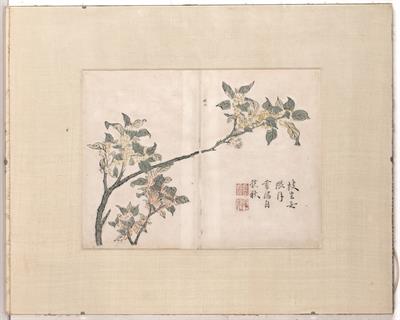 Lot 372 - Chinese School