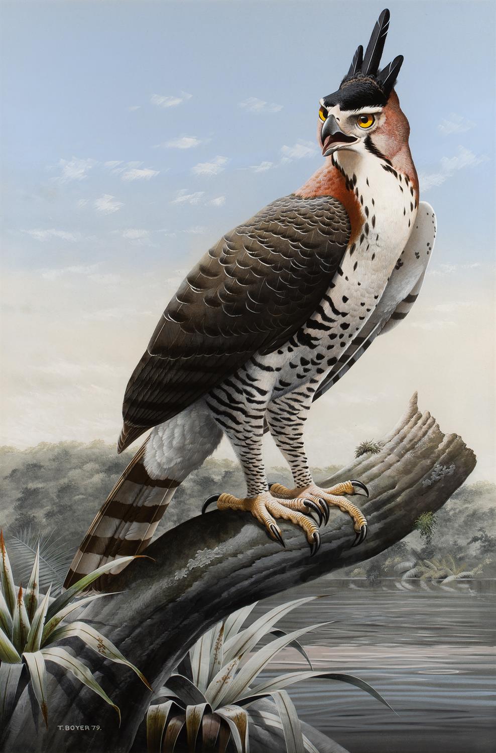 Lot 163 - Trevor Boyer (b.1948)