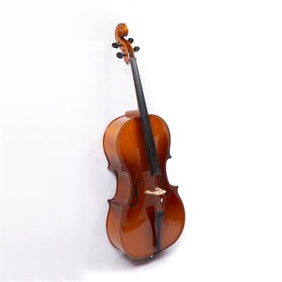 Lot 251 - A RODERICK PAESOLD 602 CELLO with two piece back