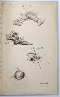 Lot 691 - AN 18TH CENTURY MEDICAL PAMPHLET: MONRO