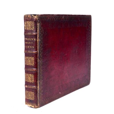 Lot 723 - ANGUS