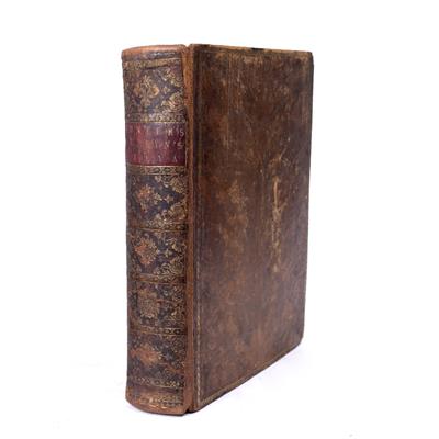Lot 735 - EVELYN