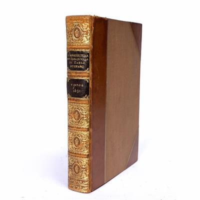 Lot 744 - CATO