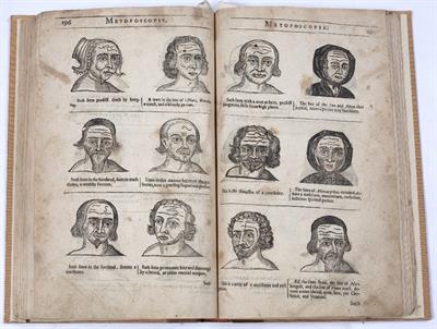 Lot 768 - SANDERS