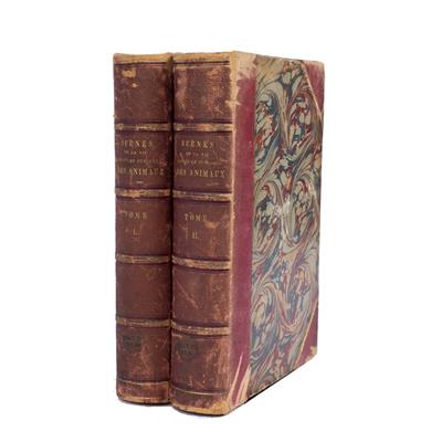 Lot 833 - STAHL