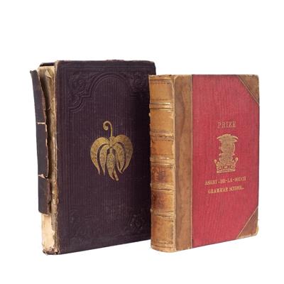Lot 359 - DARWIN