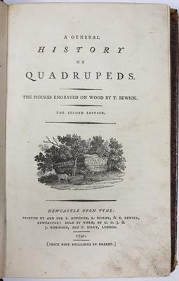 Lot 369 - BEWICK