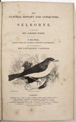 Lot 459 - CARNOT