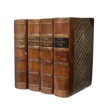Lot 485 - WILSON