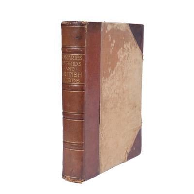 Lot 600 - ROBSON