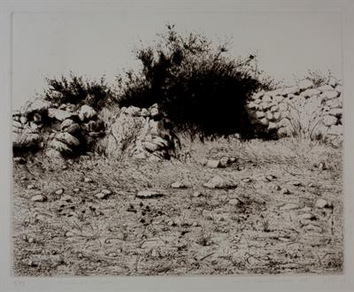 Lot 151 - Walid Abu Shakra (b.1946)