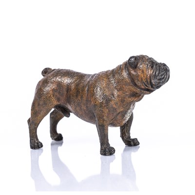 Lot 130 - An Austrian cold painted bronze bulldog marked...