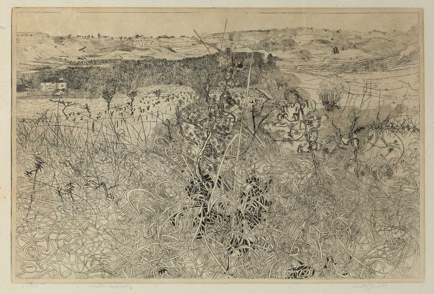 Lot 37 - Anthony Gross (1905-1984) Winter Grasses, 1972...