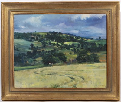 Lot 507 - Lesley Fotherby (b.1946) A Cotswold landscape,...