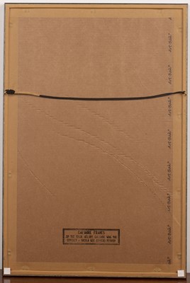 Lot 158 - Set of four framed Herbariums early 20th...