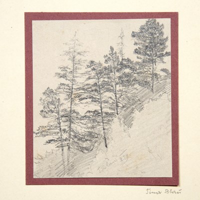 Lot 89 - Tina Blau-Lang (1845-1916) Study of trees,...
