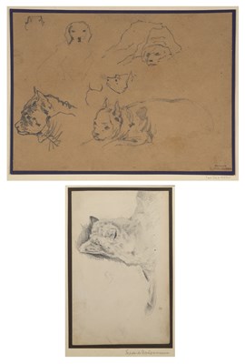Lot 92 - Friedrich Gauermann Study of a dog, signed...