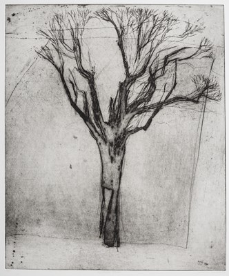 Lot 32 - Naomi Frears (b.1963) Withen Tree printer's...