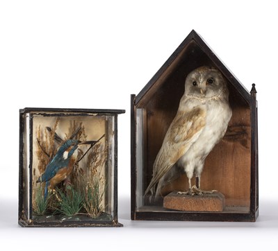 Lot 108 - A Victorian taxidermic barn owl mounted in an...