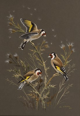 Lot 125 - Paul Alexander Nicholas (b.1943) 'Goldfinches'...