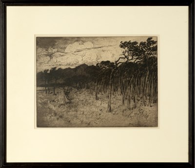 Lot 26 - Robert Goff (1837-1922) Woodland, 1903 signed...