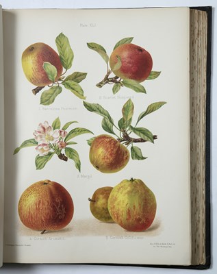 Lot 427 - Bull, Henry Graves Ed. and Hogg, Robert. 'The...