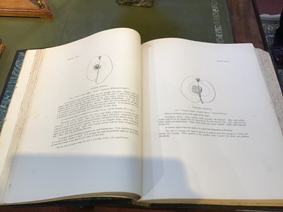 Lot 427 - Bull, Henry Graves Ed. and Hogg, Robert. 'The...