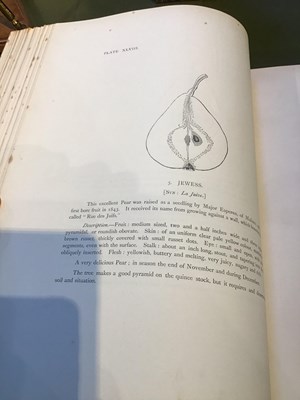 Lot 427 - Bull, Henry Graves Ed. and Hogg, Robert. 'The...