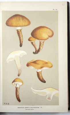 Lot 436 - Cooke, Mordecai Cubbitt (1825-1914) British...