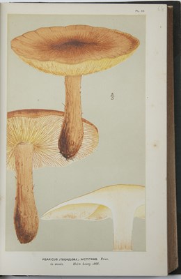 Lot 436 - Cooke, Mordecai Cubbitt (1825-1914) British...